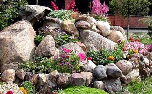 Perennials in rock garden